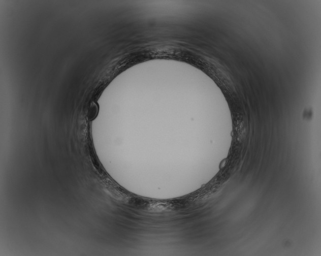 X0000089390753200707131719