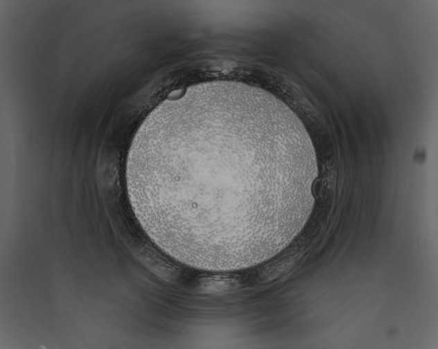 X0000089390754200707131719