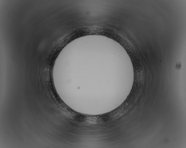 X0000089390757200707131719