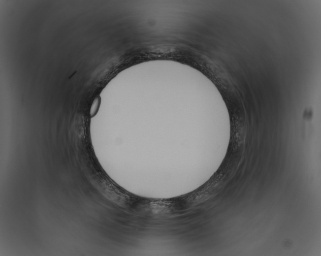 X0000089390758200707131719