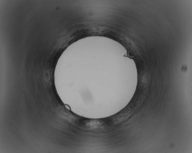 X0000089390759200707131719