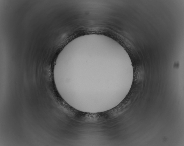 X0000089390764200707131719