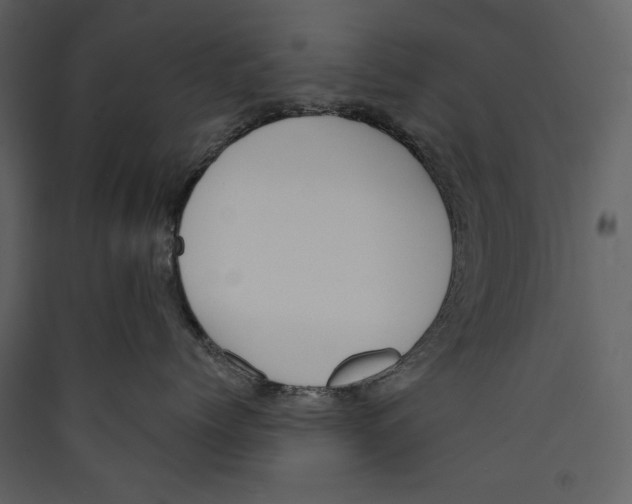X0000089390768200707131719