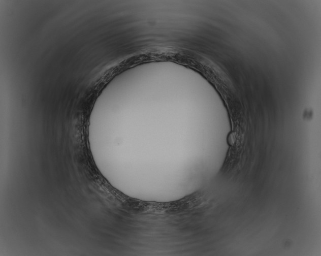 X0000089390773200707131718
