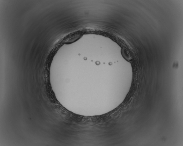 X0000089390776200707131718