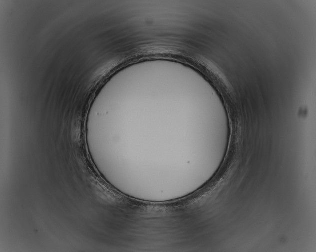 X0000089390777200707131718