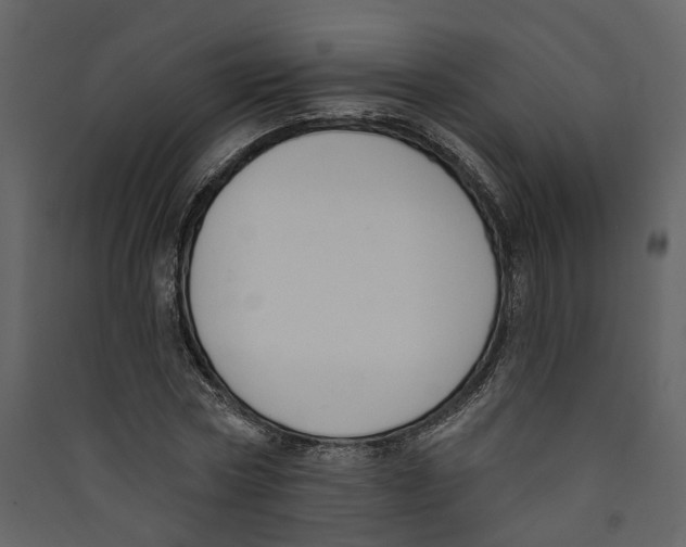 X0000089390778200707131718
