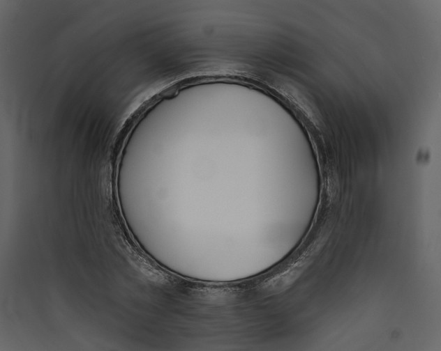 X0000089390781200707131718