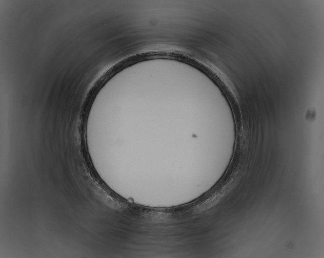 X0000089390783200707131718