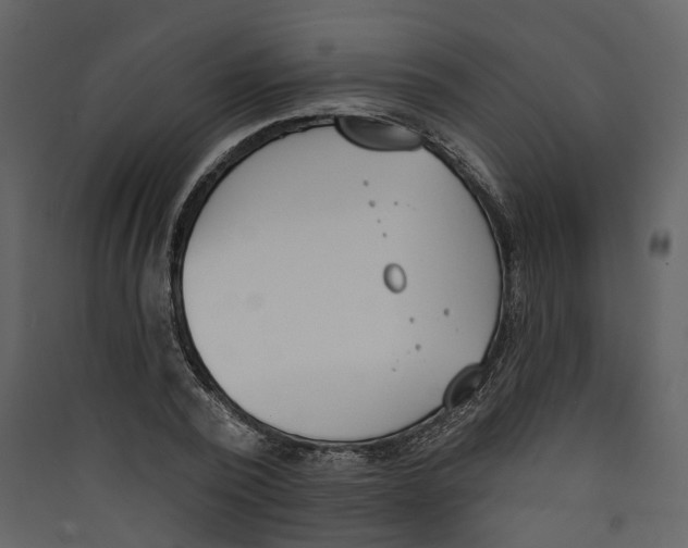 X0000089390784200707131718