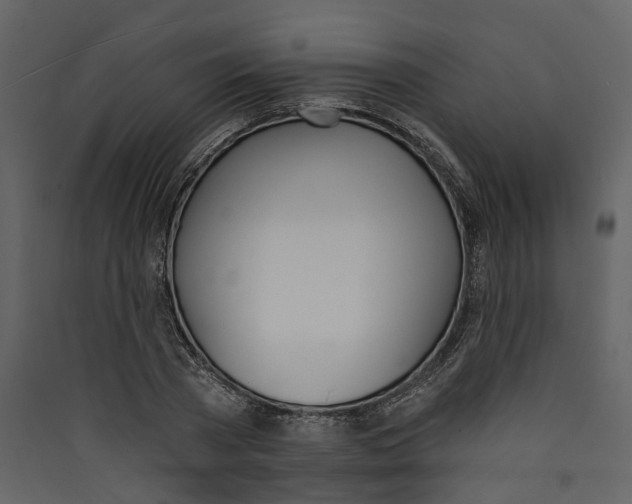 X0000089390785200707131718