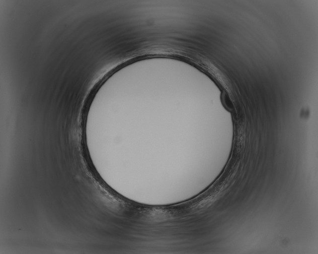 X0000089390787200707131718