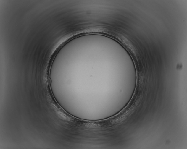X0000089390789200707131718