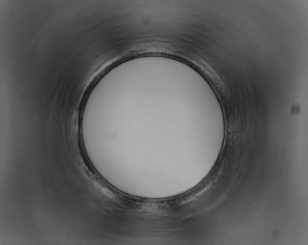 X0000089390790200707131718