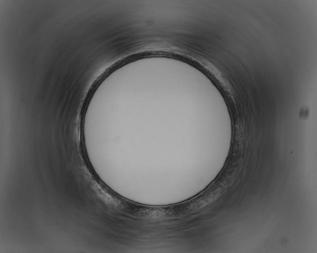 X0000089390791200707131718