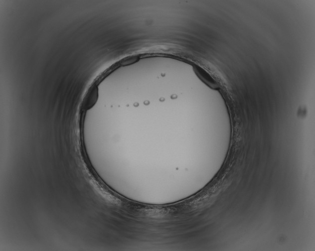 X0000089390792200707131718