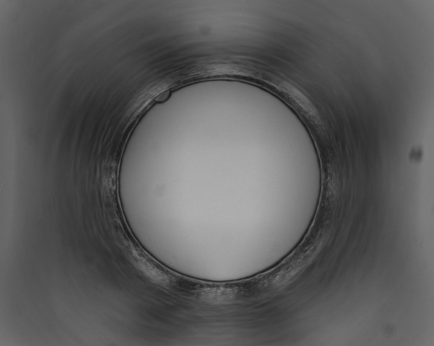 X0000089390793200707131718