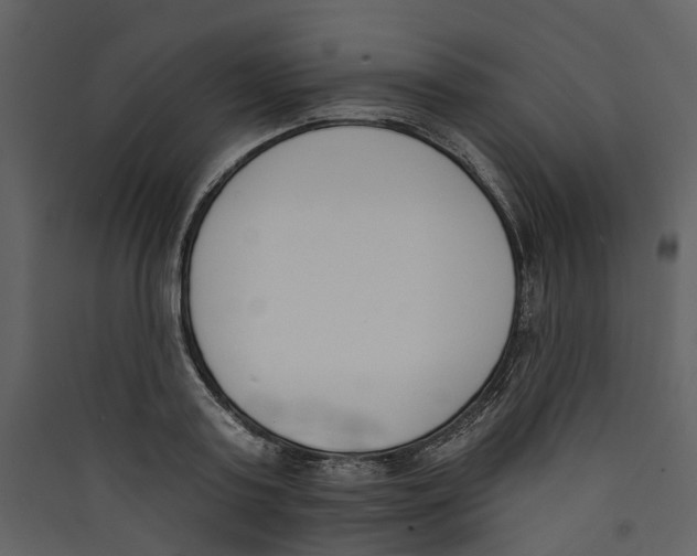 X0000089390795200707131718