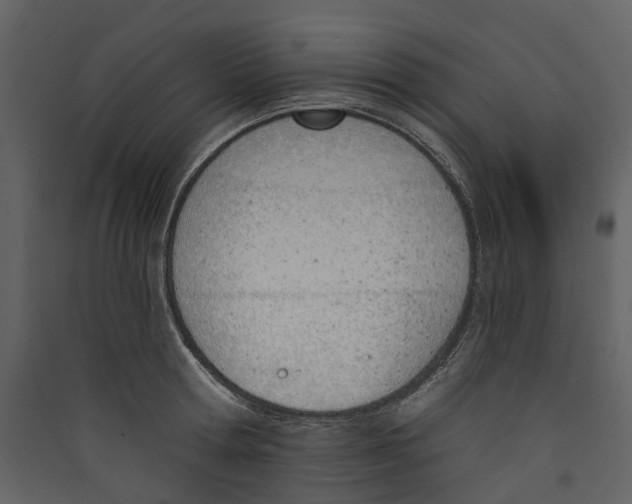 X0000089390802200707131718