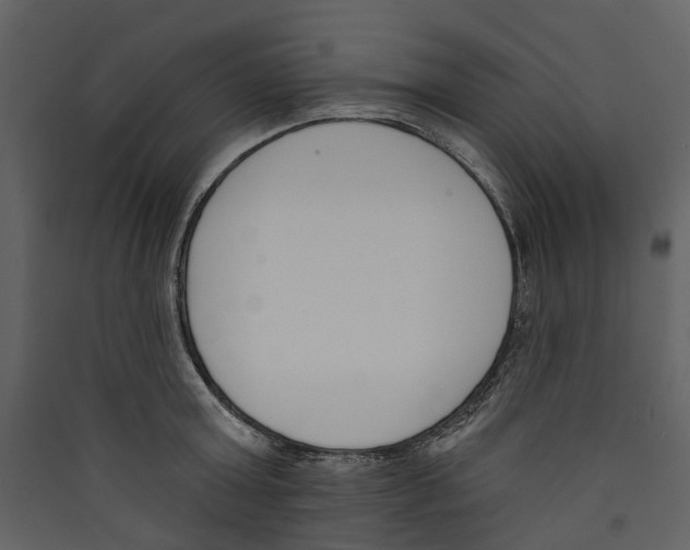 X0000089390803200707131718