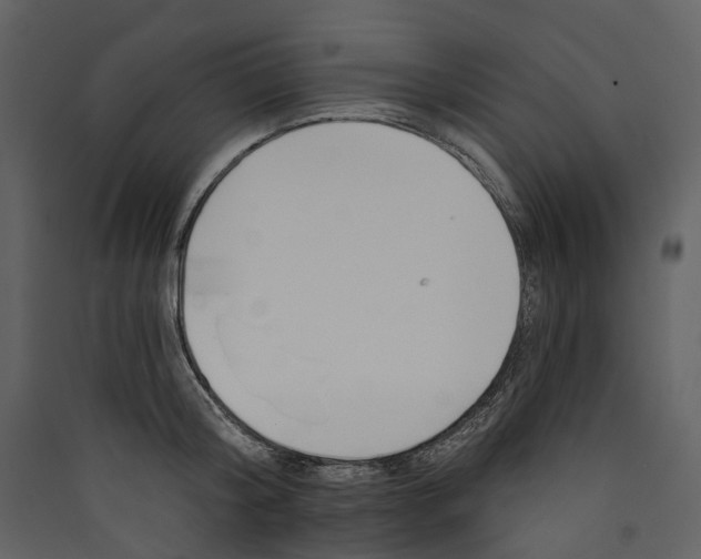 X0000089390804200707131718