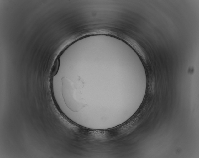X0000089390805200707131718