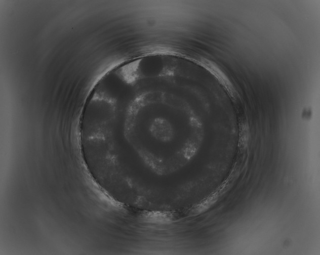X0000089390806200707131718