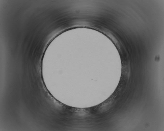 X0000089390807200707131718