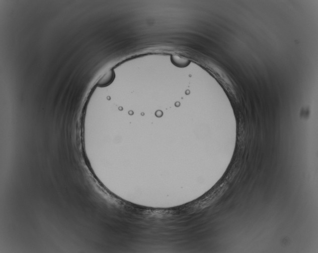 X0000089390808200707131718