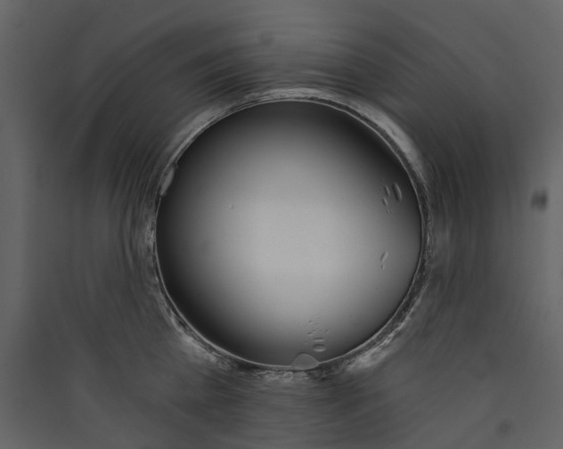 X0000089390809200707131718