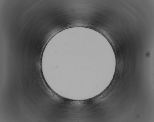 X0000089390810200707131718