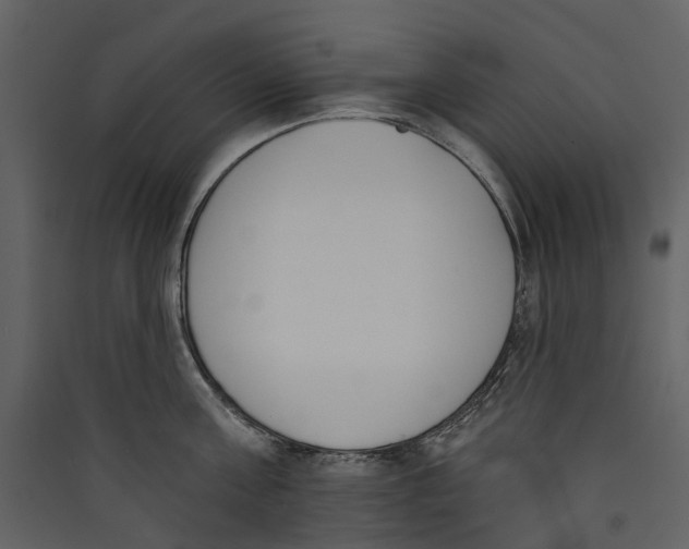 X0000089390811200707131718