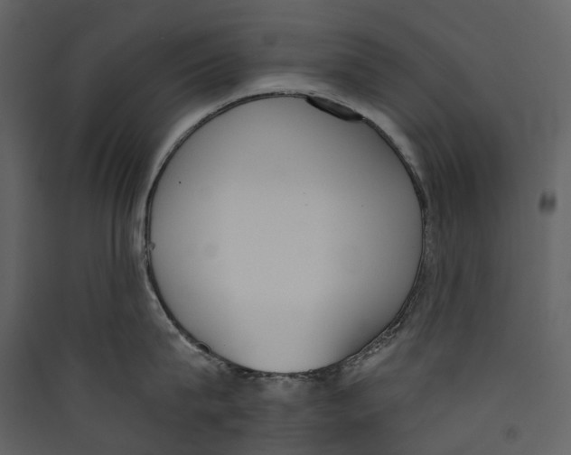 X0000089390815200707131718