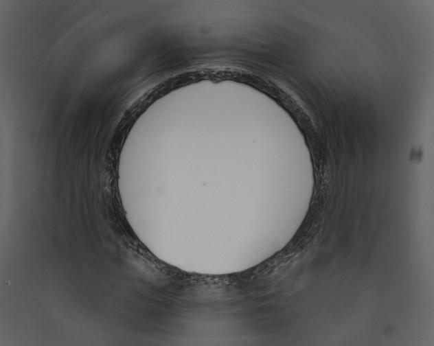 X0000089390823200707131717