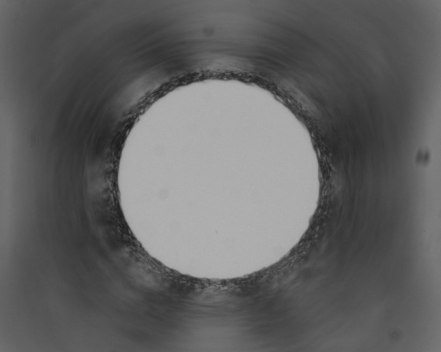 X0000089390824200707131717