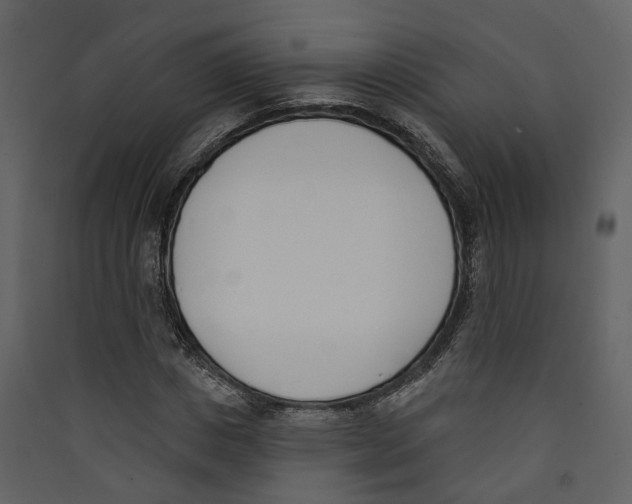 X0000089390825200707131717