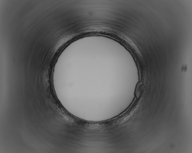 X0000089390826200707131717