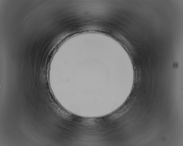 X0000089390828200707131717