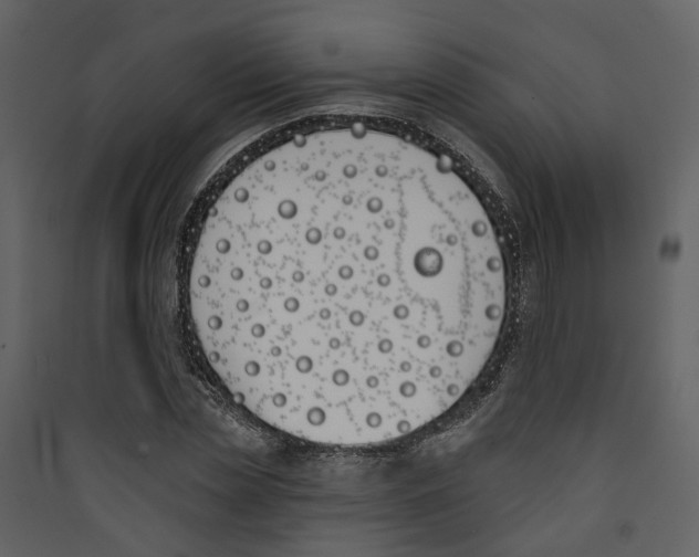 X0000089390829200707131717