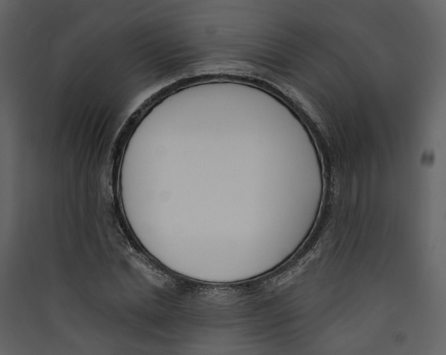 X0000089390830200707131717