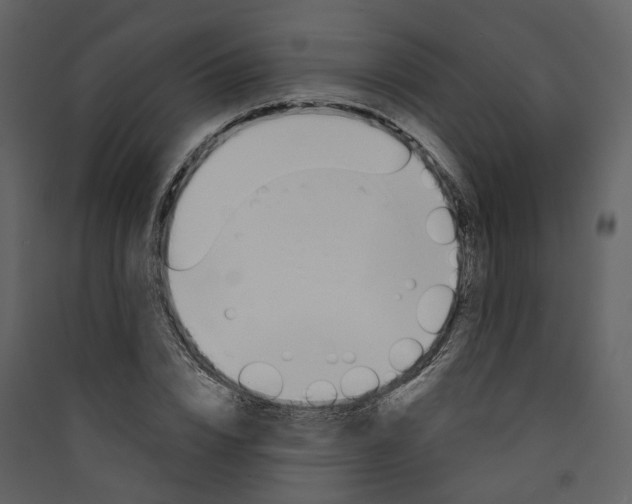 X0000089390832200707131717