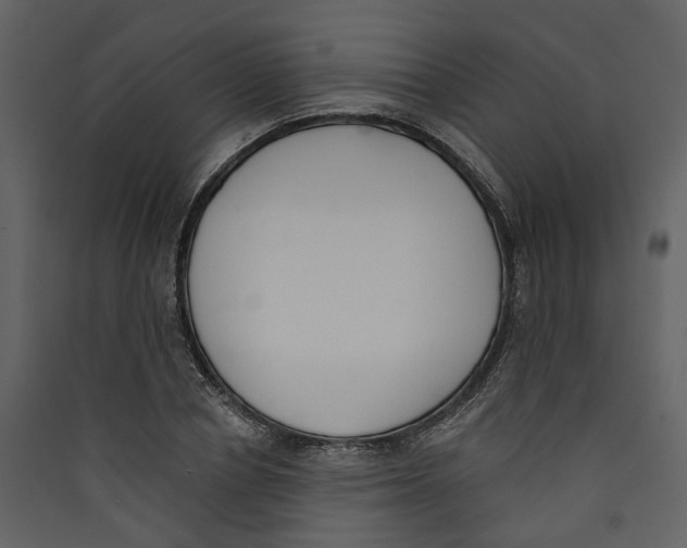 X0000089390834200707131717