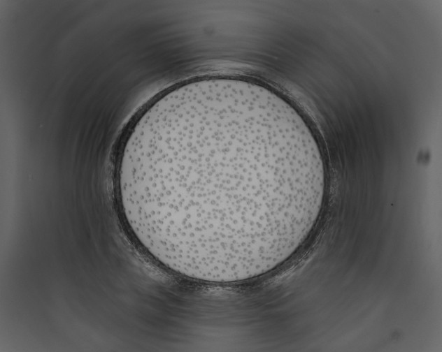 X0000089390835200707131717