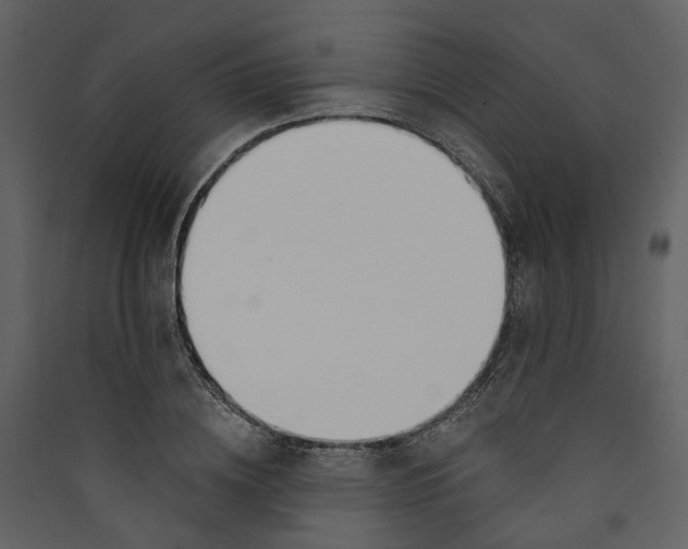 X0000089390836200707131717