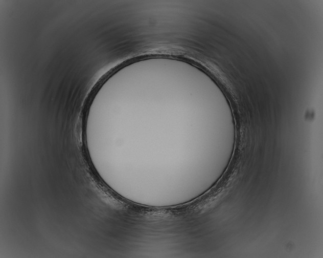 X0000089390838200707131717