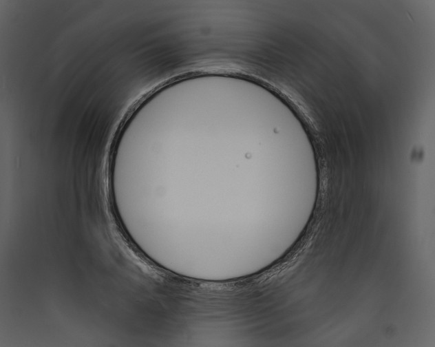X0000089390840200707131717