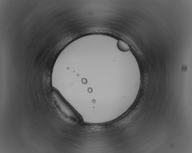 X0000089390841200707131717