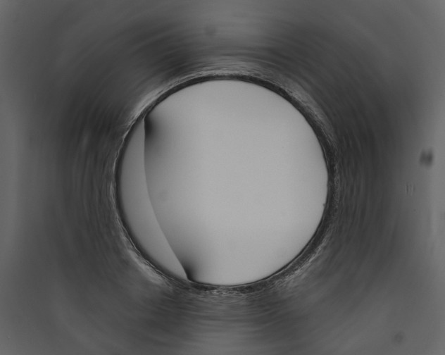 X0000089390842200707131717