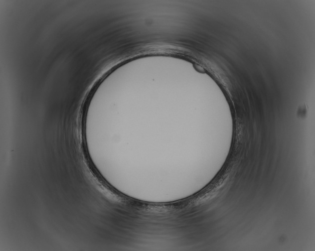 X0000089390843200707131717