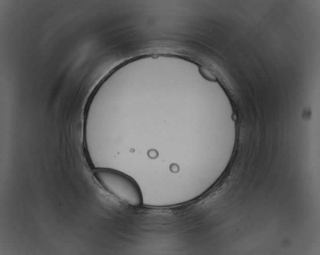 X0000089390844200707131717
